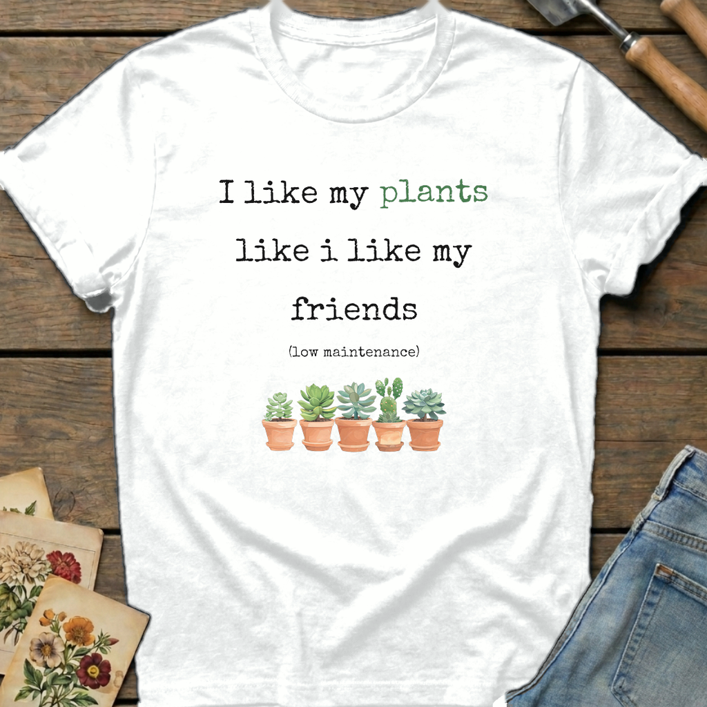 Low maintenance friends T-Shirt in White - Comfort Colors 1717 flat lay